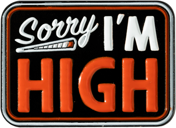 Sorry I’m High Pin - datacrew